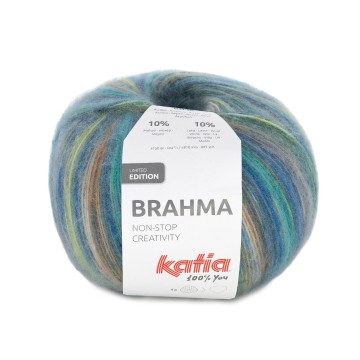 Brahma 306