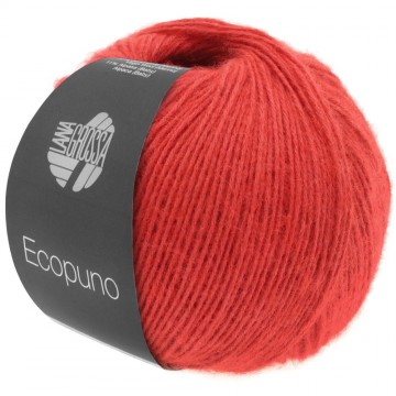 Ecopuno lana grossa 13310006k