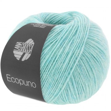 Ecopuno lana grossa 13310077k